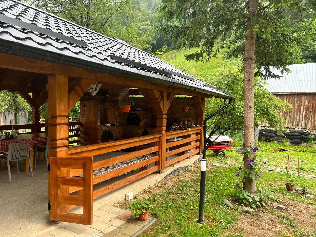 Pensiunea Pietrosul Rodnei Moisei Ngoại thất bức ảnh